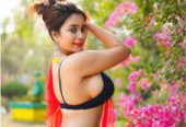 Shreya Hot And Curvy Actress.